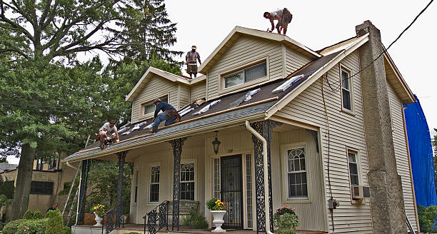 Roof Gutter Cleaning in Steiner Ranch, TX